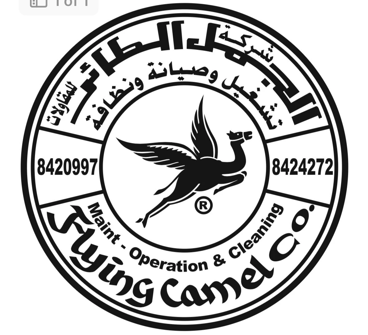 شركة الجمل الطائر للمقاولات العامة